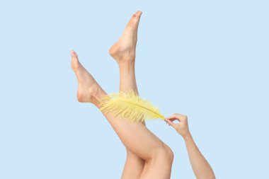 Mavi arka planda yumuşak tüyleri olan güzel genç bayanın bacakları, yakın plan. Yasaklama kavramı