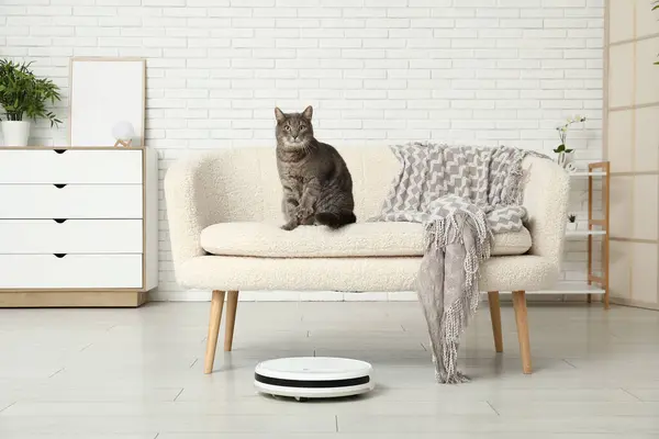 stock image Cute cat with modern robot vacuum cleaner at home