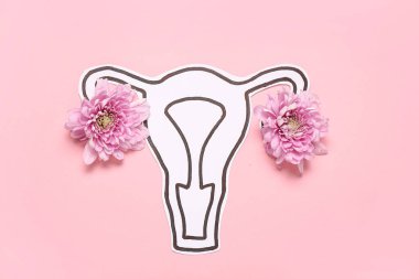 Pembe arka planda kasımpatı çiçekli kağıt rahim.