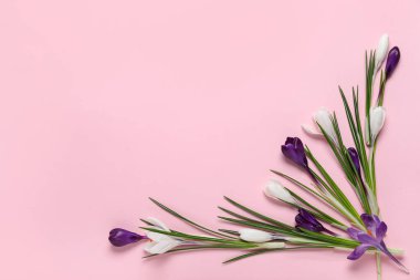 Pembe arka planda güzel kır çiçekleri