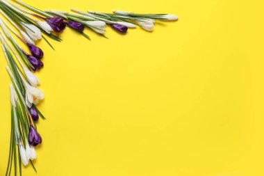 Sarı arka planda güzel kır çiçekleri