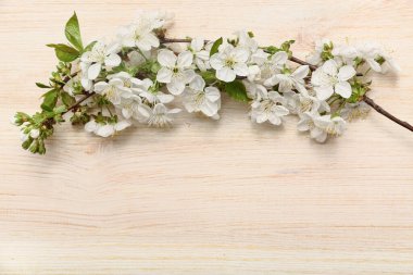 Ahşap arka planda çiçek açan güzel dallar.