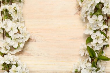 Ahşap arka planda çiçek açan güzel dallar.