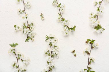 Beyaz arka planda çiçek açan güzel dallar