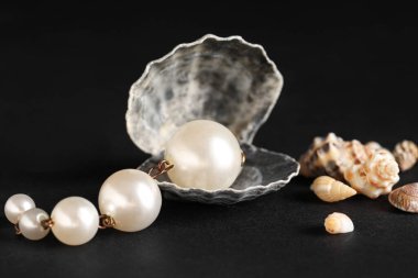 Siyah arka planda güzel küpeleri olan kabuklar.