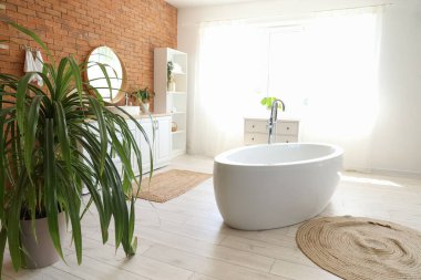 Küveti, lavabosu, aynası ve bitkisi olan şık bir banyo.