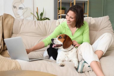 Beagle köpeği ve dizüstü bilgisayarı olan genç bir kadın evdeki koltukta oturuyor.