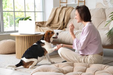 Beagle köpeğinin patisini tutan genç bir kadın.