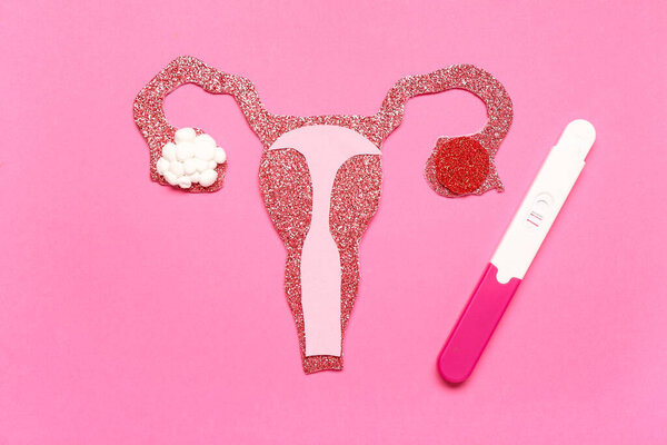 Paper uterus with pregnancy test on pink background