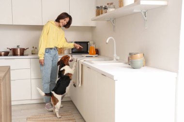 Mutfakta Beagle köpeği olan genç bir kadın.
