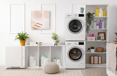 Çamaşır makinelerinin, temizlik malzemelerinin ve ev bitkilerinin bulunduğu hafif çamaşır odasının içinde.