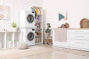 Çamaşır makinelerinin, temizlik malzemelerinin ve ev bitkilerinin bulunduğu hafif çamaşır odasının içinde.