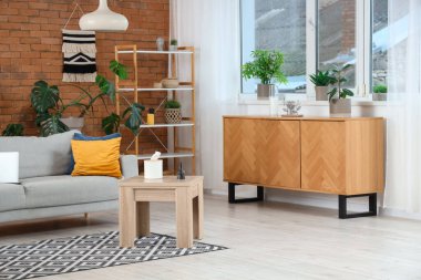 Gri kanepesi, sehpası ve ahşap dolabı olan modern oturma odasının içinde.