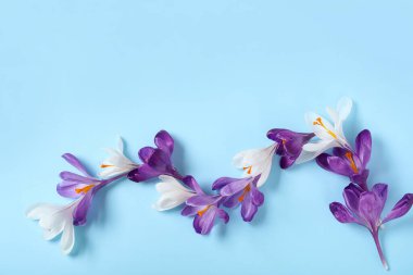 Mavi arka planda güzel kır çiçekleri