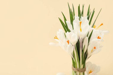 Bej arkaplanda güzel beyaz kır çiçekleri