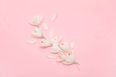 Pembe arka planda güzel beyaz çiçek ve taç yaprakları