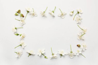 Beyaz arkaplanda çiçek açan güzel çiçeklerden yapılmış çerçeve