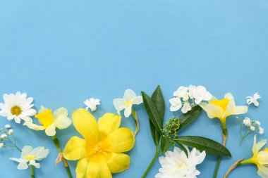 Farklı çiçeklerle ve mavi arka planda yeşil yapraklarla güzel bir kompozisyon.