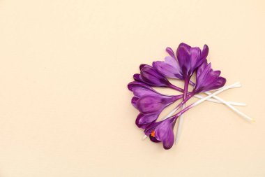 Bej arka planda güzel mor kır çiçekleri