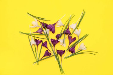 Sarı arka planda güzel kır çiçekleri