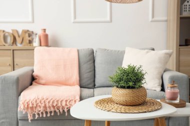 Gri kanepesi ve ekoseli modern şık oturma odası.
