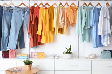 Şık kadın kıyafetleri ve aksesuarlarıyla modern gardırop.