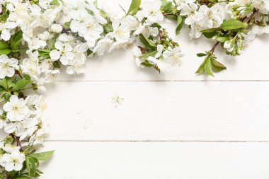 Beyaz ahşap arka planda çiçek açan güzel dallar.