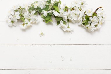 Güzel çiçek açan bir dal ve beyaz ahşap arka planda taç yaprakları
