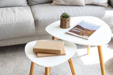 Kitaplar ve dergiler oturma odasındaki sehpanın üstünde.