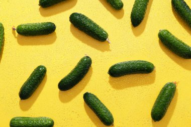 Sarı zemin üzerinde taze yeşil salatalıklar.