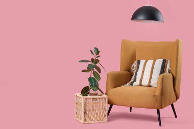 Yastıklı rahat koltuk ve pembe arka plandaki kutuda bitki.