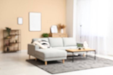 Aydınlık oturma odasının içinde gri kanepe, sehpa ve resim bulanık görünüyor.