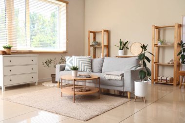 Gri kanepe, sehpa ve bitkilerle oturma odasının içinde.