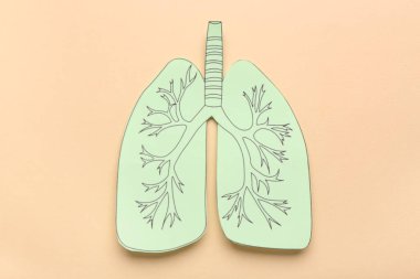 Bej arka planda yeşil kağıt ciğerler