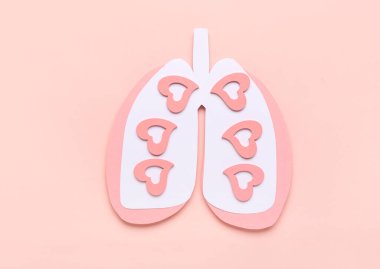 Paper lungs on pink background