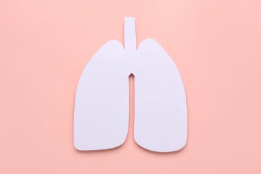 Paper lungs on pink background