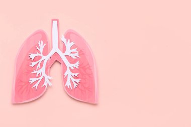 Paper lungs on pink background