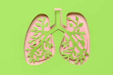 Kağıt, pembe arka planda akciğerleri kesiyor.