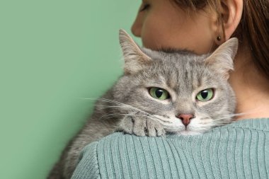 Genç ve güzel bir kadın yeşil arka planda sevimli gri kedisine sarılıyor.