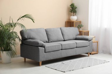 Siyah kanepeli şık bir oturma odası, raf ünitesi ve bej duvarın yanındaki ev bitkileri.