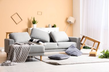 Kanepesi ve yastığı halıda olan dağınık bir oturma odası.