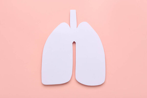 Paper lungs on pink background