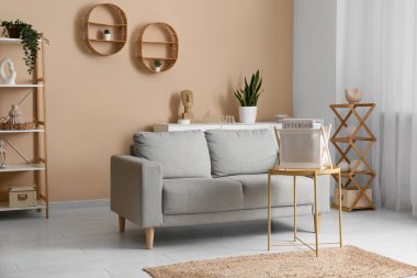 Oturma odasındaki rahat kanepenin yanındaki kahve masasında dergiler olan depo sepeti.