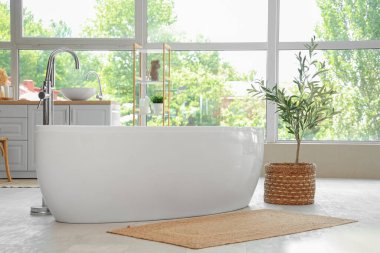 Dekoratif zeytin ağacı olan modern banyo.