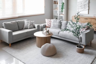 Rahat kanepesi, raf ünitesi, sehpası ve zeytin ağacı olan şık bir oturma odası.