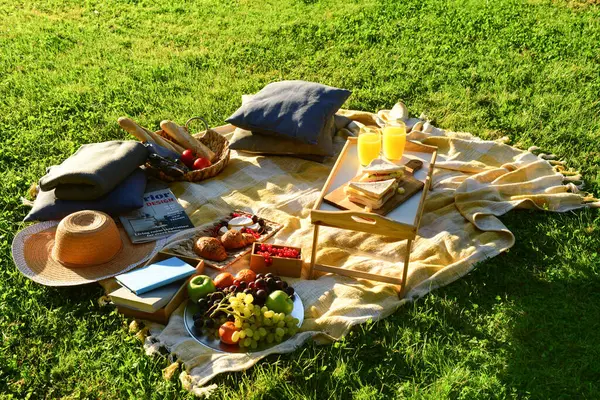 Stock image Set for romantic picnic with tasty food and glasses of juice on green grass background