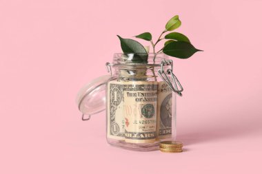 Cam kavanozdan büyüyen bitki. Pembe arka planda dolar banknotları, yakın plan.