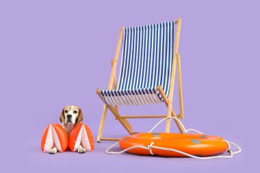 Kol bantlı şirin Beagle köpeği güverte sandalyesinin yanında oturuyor ve leylak arka planda can simidi var.