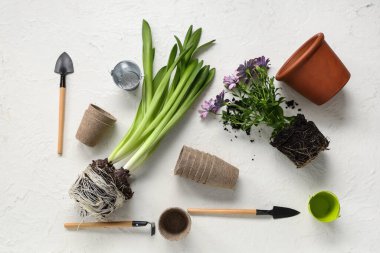 Beyaz arka planda bitki nakli yapan bahçe malzemeleri seti. Üst görünüm