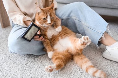 Fırçalı ve sevimli kedili bir kadın evde yerde oturuyor, yakın plan.